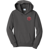 Apple Core Youth Fan Favorite Fleece Pullover Hooded Sweatshirt